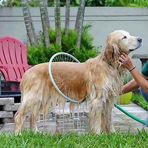360° Shower Tools For Pets