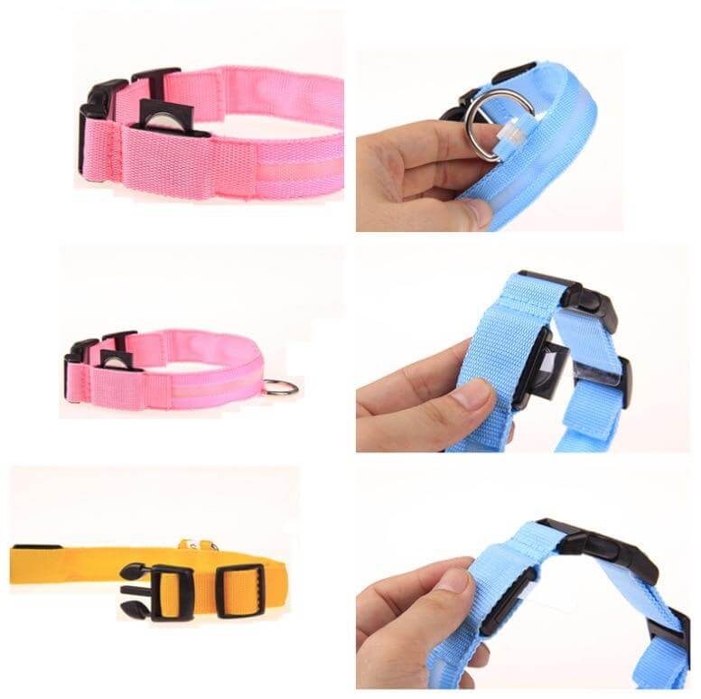 LED Collar