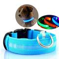LED Collar