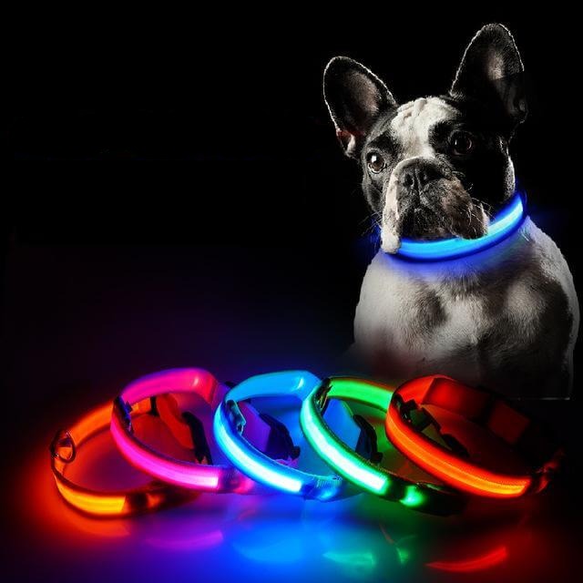 LED Collar
