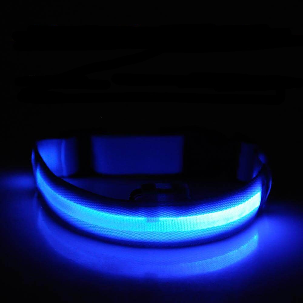 LED Collar