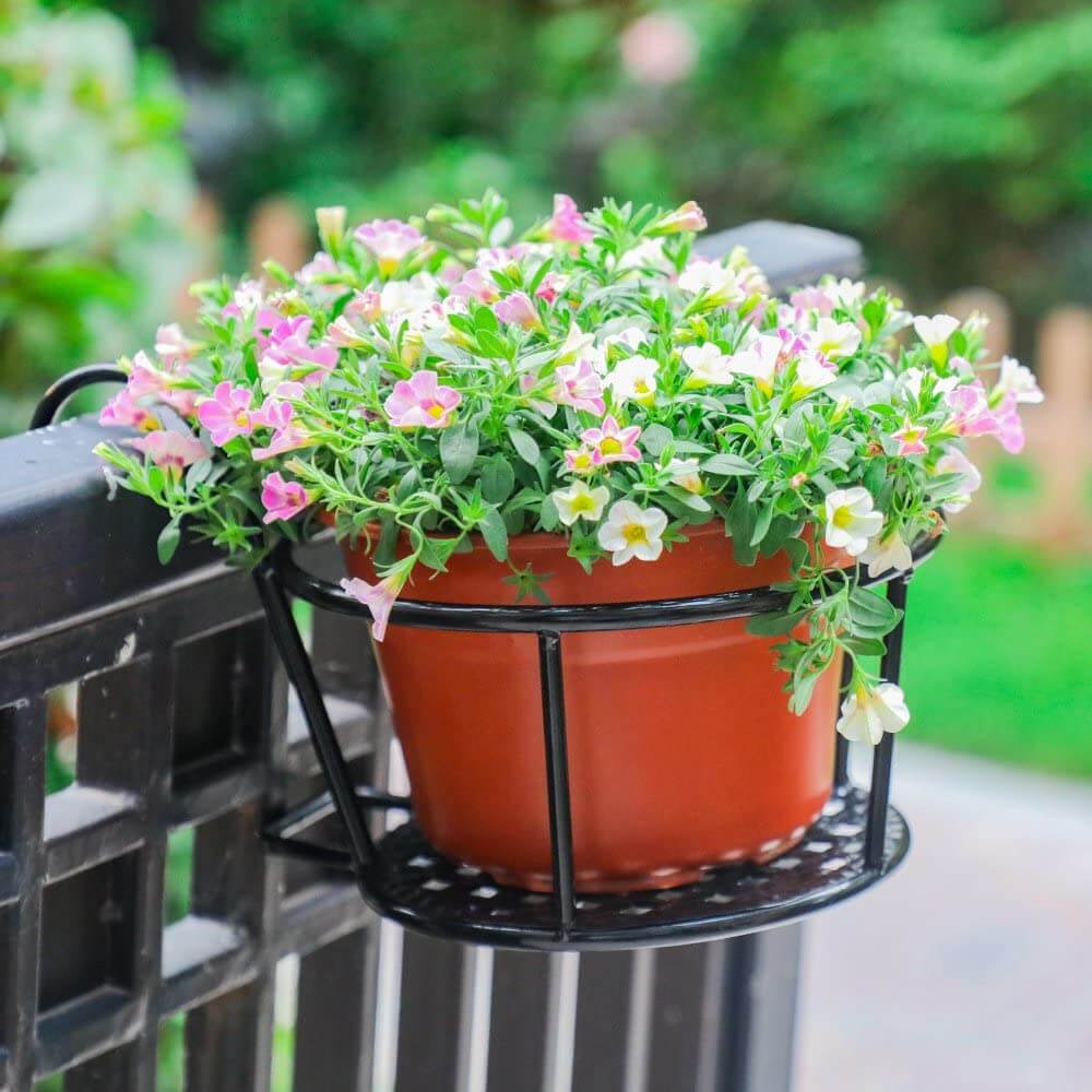 Iron Art Hanging Basket