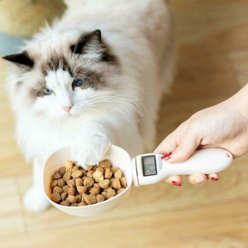 Automatic feeder
