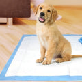 Hundeurin