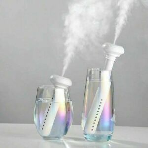 Water Bottle Humidifier