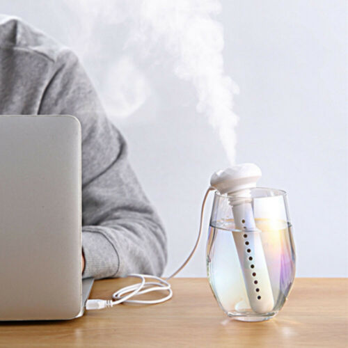 Water Bottle Humidifier