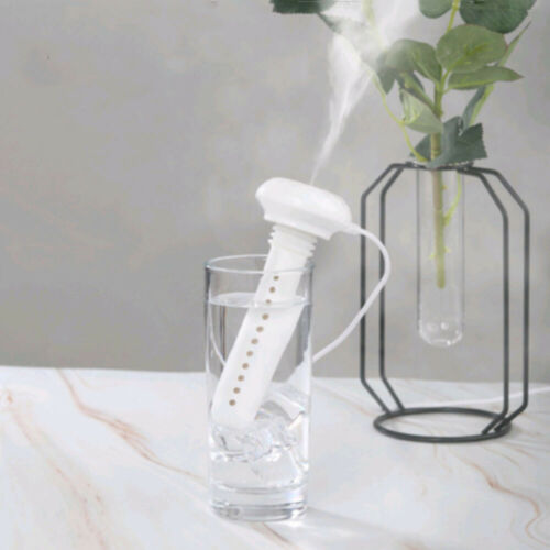 Water Bottle Humidifier