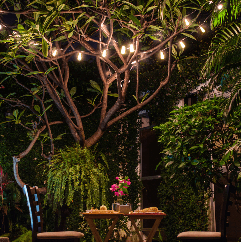 Solar Powered LED Outdoor String Lights