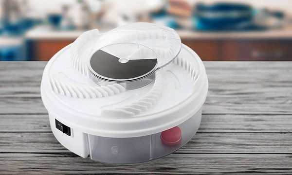 Automatic Fly Trap