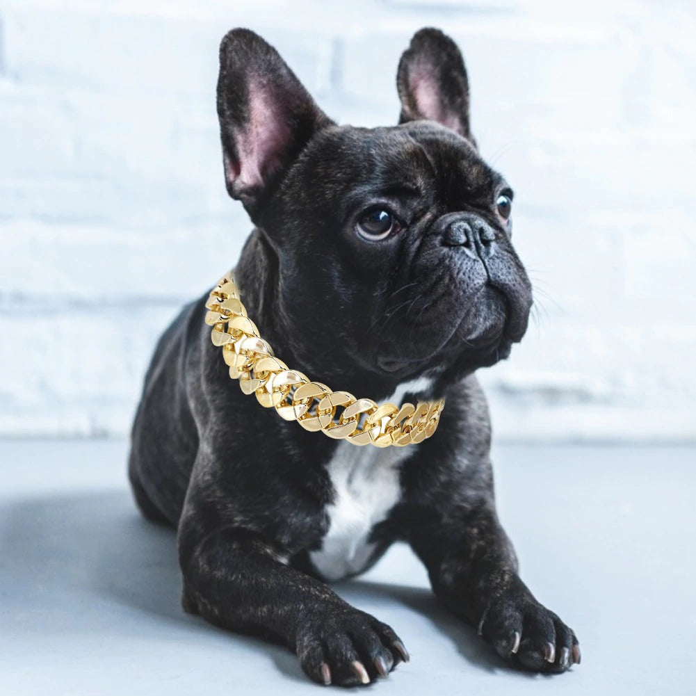 BlingBling Gold Dog Necklace